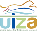 logo uiza 2013