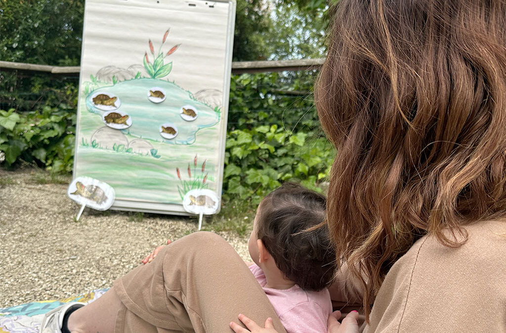 10 storie di successo per invertire “il rosso”: il Parco Zoo Falconara accende i riflettori su grifoni, ibis eremita e testuggine