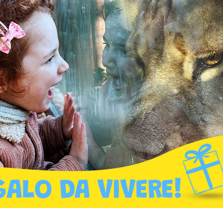 Biglietteria Parco Zoo Falconara - Regala un'esperienza allo zoo