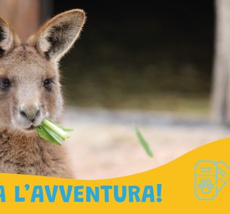 Biglietto giornaliero