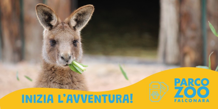 Biglietto giornaliero