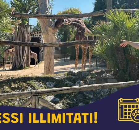 Abbonamento stagionale