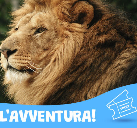 Biglietteria Parco Zoo Falconara - Acquista il biglietto online