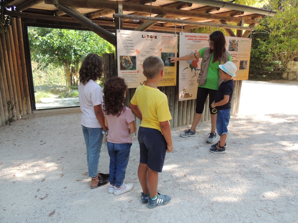 scuole-esperienze-didattiche