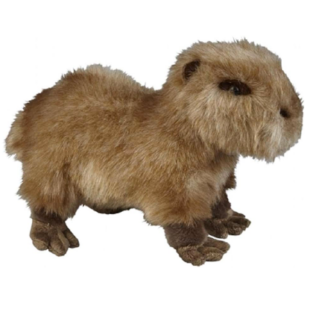 Capibara peluche grande