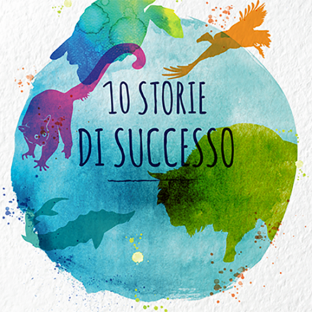 Libro: 10 storie di successo