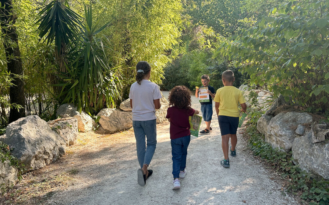Vivere di foresta