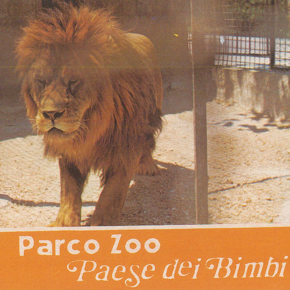 parco-zoo-falconara-paese-dei-bimbi Cura e benessere degli animali - Parco Zoo Falconara