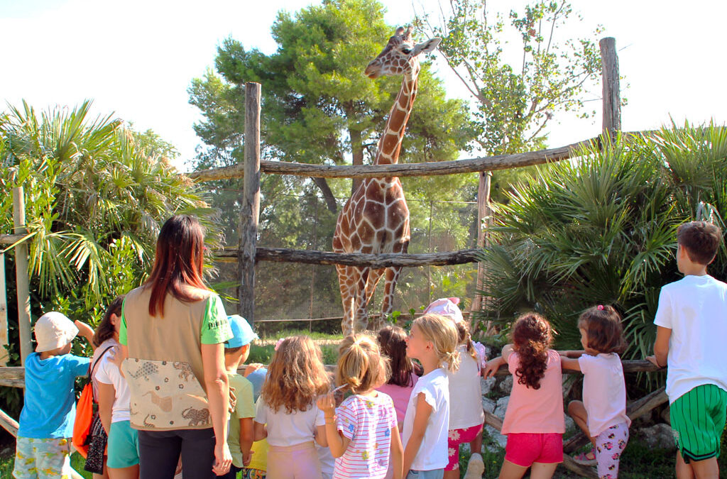 OPEN DAY INSEGNANTI Parco Zoo Falconara