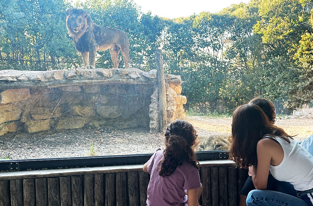Vuoi essere protagonista del nuovo video del Parco Zoo Falconara?