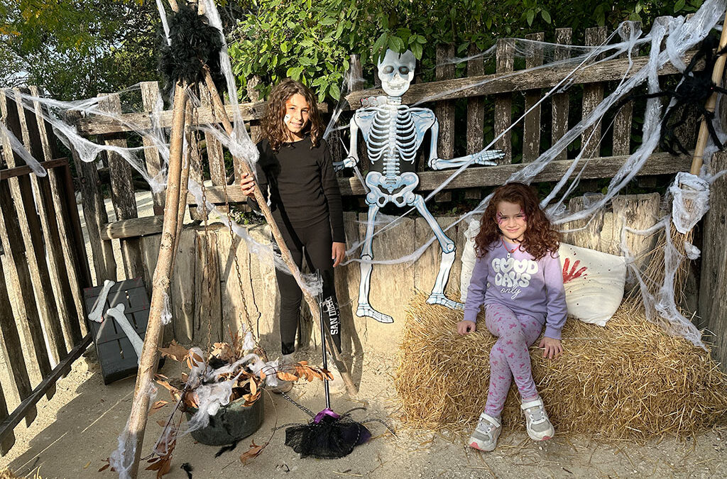 Brividi e divertimento al Parco Zoo Falconara: arriva l’halloween edition con la caccia alle zucche