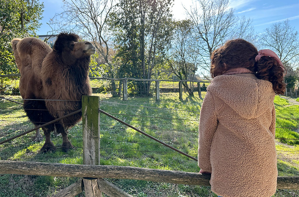 Dal 1° marzo il Parco Zoo Falconara riapre nel segno della sostenibilità: foreste e zone umide protagoniste della stagione