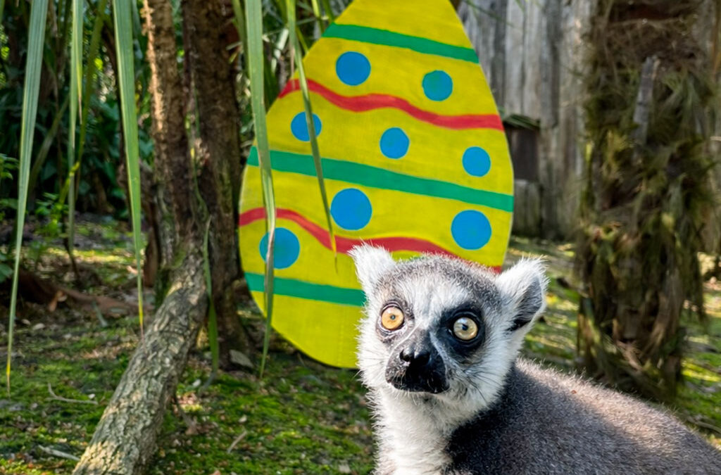 Pasqua all’avventura al Parco Zoo Falconara: domenica 5 aprile torna la caccia alle uova
