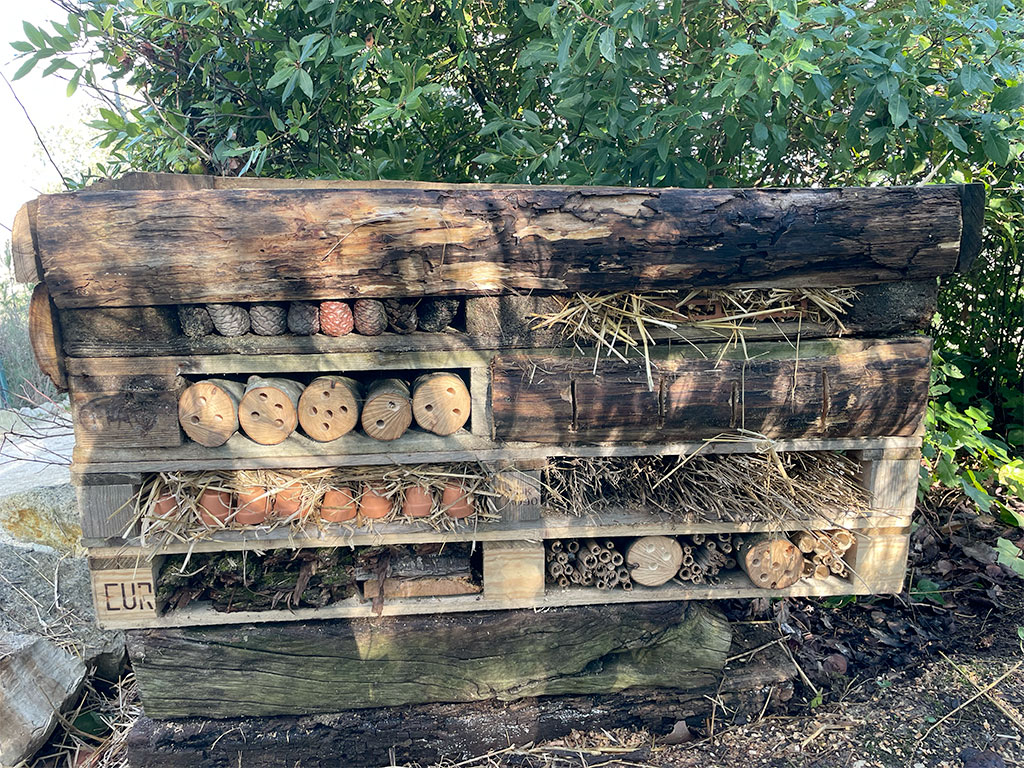 news_bughotel